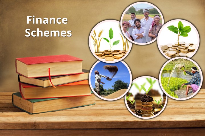 Books on finance scheme
